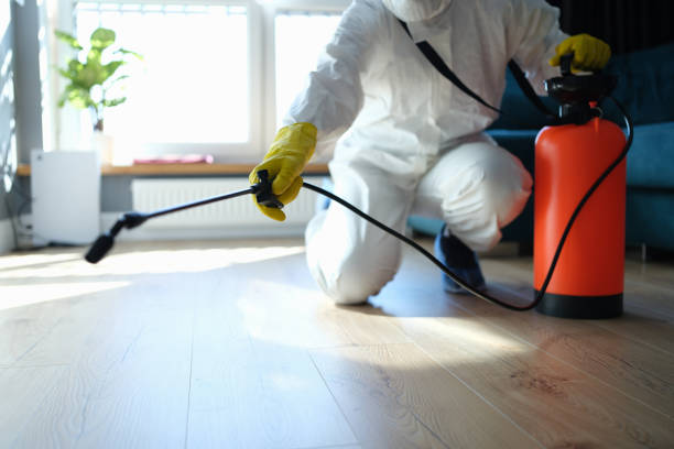 Reliable Odor Removal contractor in Crystal, MN by Trauma Clean Pros